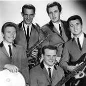 The Lively Ones - List pictures