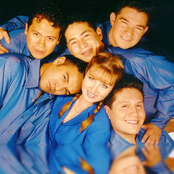 Grupo Limite - List pictures