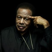 Wayne Shorter - List pictures