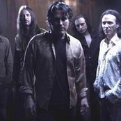 Winger - List pictures