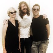 Spiderbait - List pictures