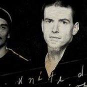 Taproot - List pictures