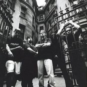 Merauder - List pictures