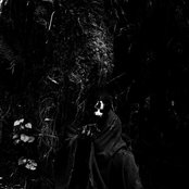 Wolves In The Throne Room - List pictures