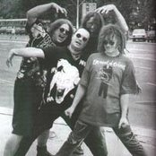 Big Cyc - List pictures