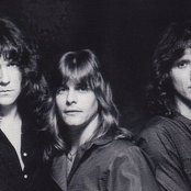 Zebra - List pictures