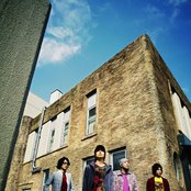 Fuji Fabric - List pictures