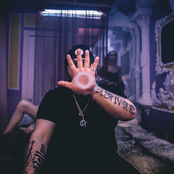 Belly - List pictures