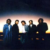 Toto - List pictures