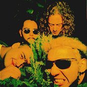 Raimundos - List pictures