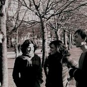 Elephant - List pictures