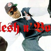 Flesh-n-bone - List pictures