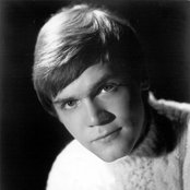 Brina Hyland - List pictures