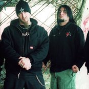 Damageplan - List pictures