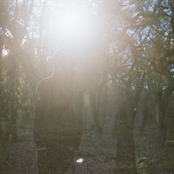 Bering Strait - List pictures