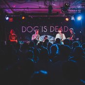 Dog Is Dead - List pictures
