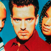 Real Mccoy - List pictures