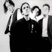 Cafe Tacuba - List pictures