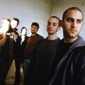 Negramaro - List pictures