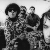 The Fuzztones - List pictures