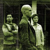 Tree63 - List pictures