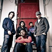 Bad Rabbits - List pictures