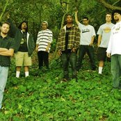 Fortunate Youth - List pictures