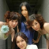 Lady - List pictures