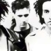 A.r. Kane - List pictures