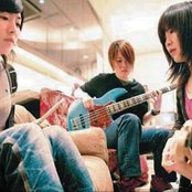 Chat Monchy - List pictures