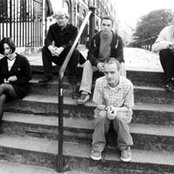 Trembling Blue Stars - List pictures