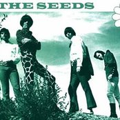 Seeds - List pictures