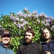 Walter Tv - List pictures