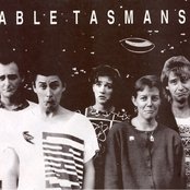 Able Tasmans - List pictures