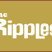 The Ripples - List pictures