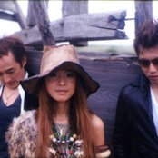 Naja - List pictures