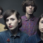 Veronica Falls - List pictures