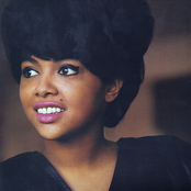 Tammi Terrell - List pictures