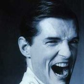 Falko - List pictures