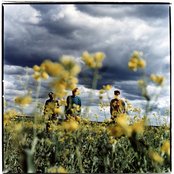 Male Bonding - List pictures