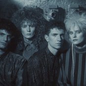 Til Tuesday - List pictures