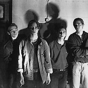 Iceage - List pictures