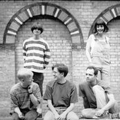 Field Mice - List pictures