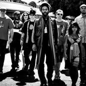 Easy Star All-stars - List pictures