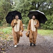 2 Bears - List pictures