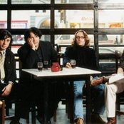 Posies - List pictures