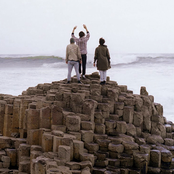 Is Tropical - List pictures