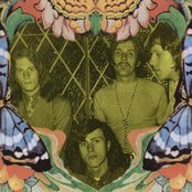 Gandalf - List pictures