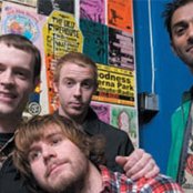 Waxwing - List pictures