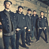 Street Dogs - List pictures